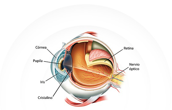 para oftalmología. Descubre la MedicalMix